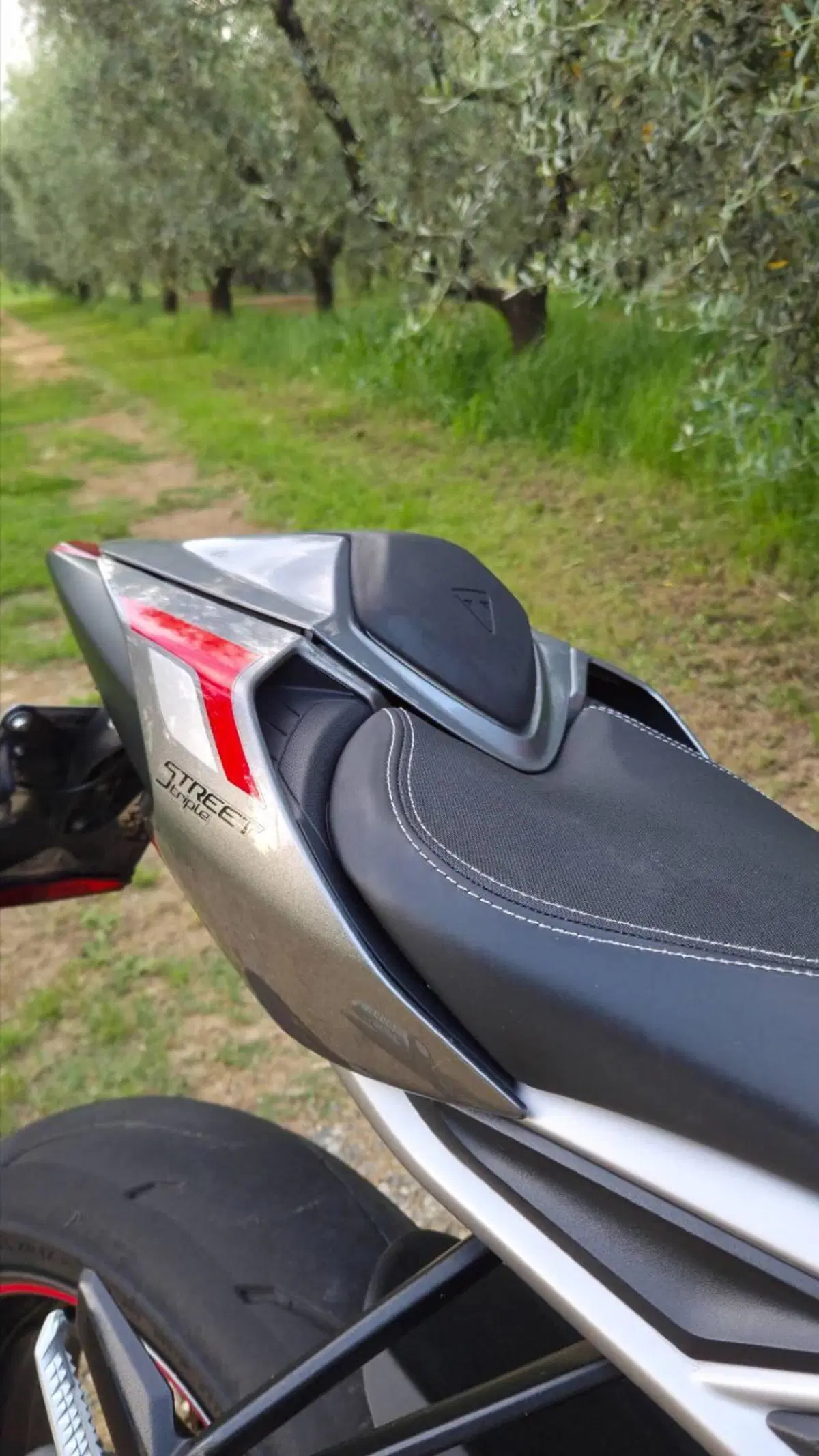Triumph Street Triple RS (2020 - 22) (3)