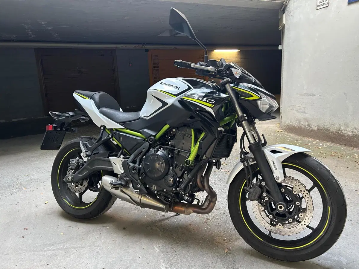 Kawasaki Z 650 (2020) (2)