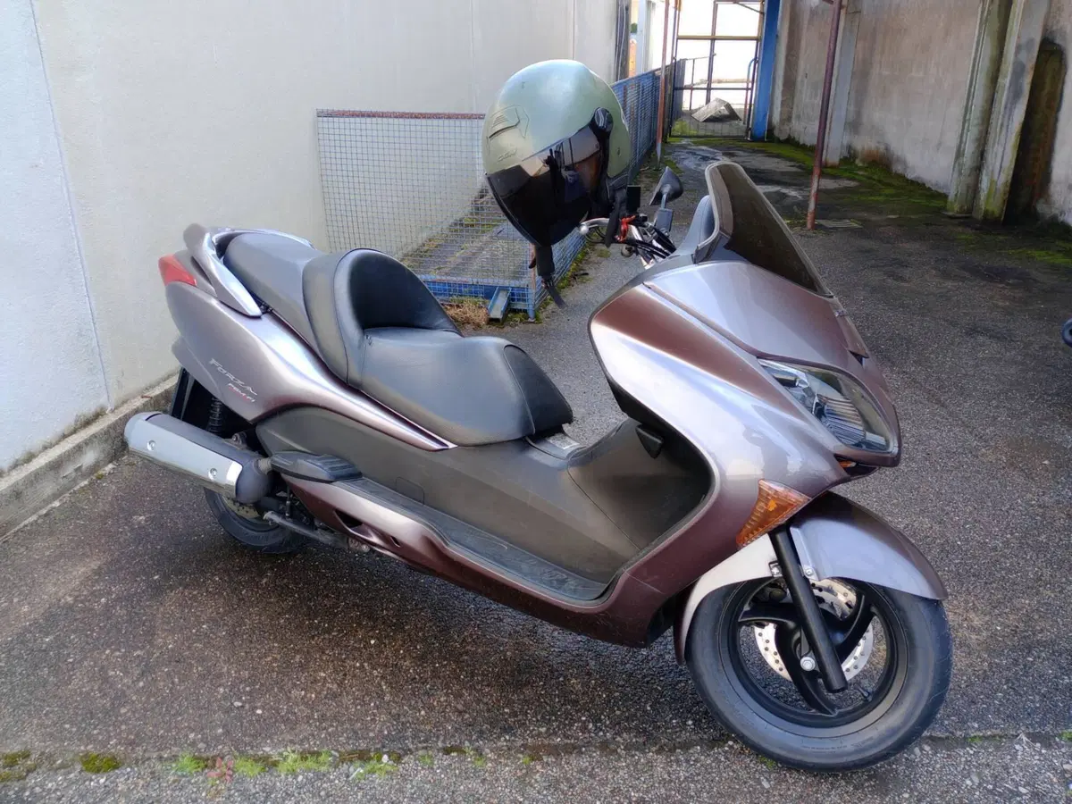 Honda Forza 250 X (2005 - 07)