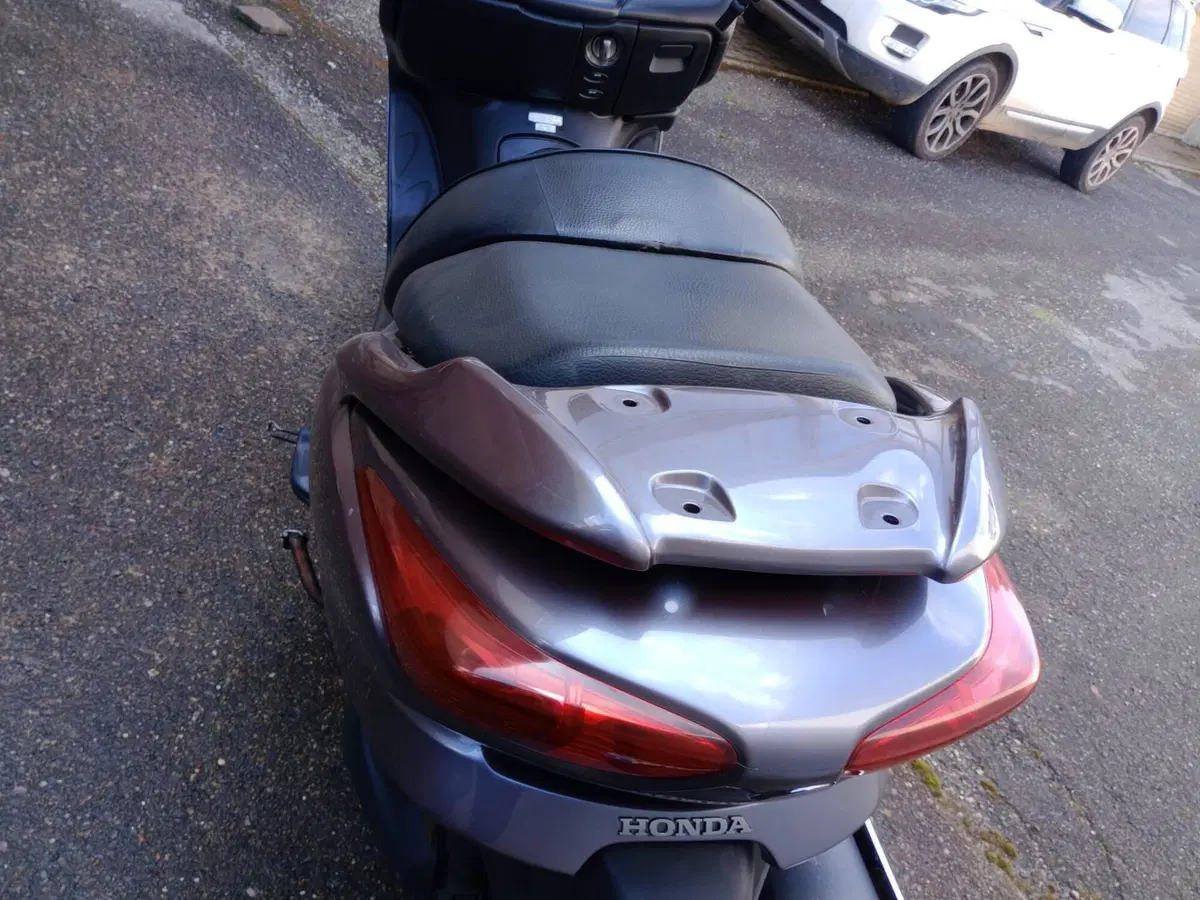 Honda Forza 250 X (2005 - 07) (3)