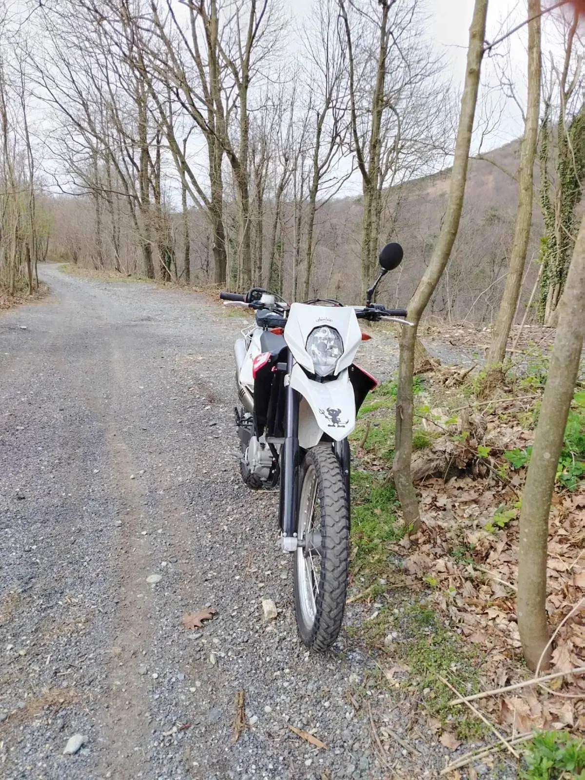 Husqvarna TE 630 (2010 - 13) (3)