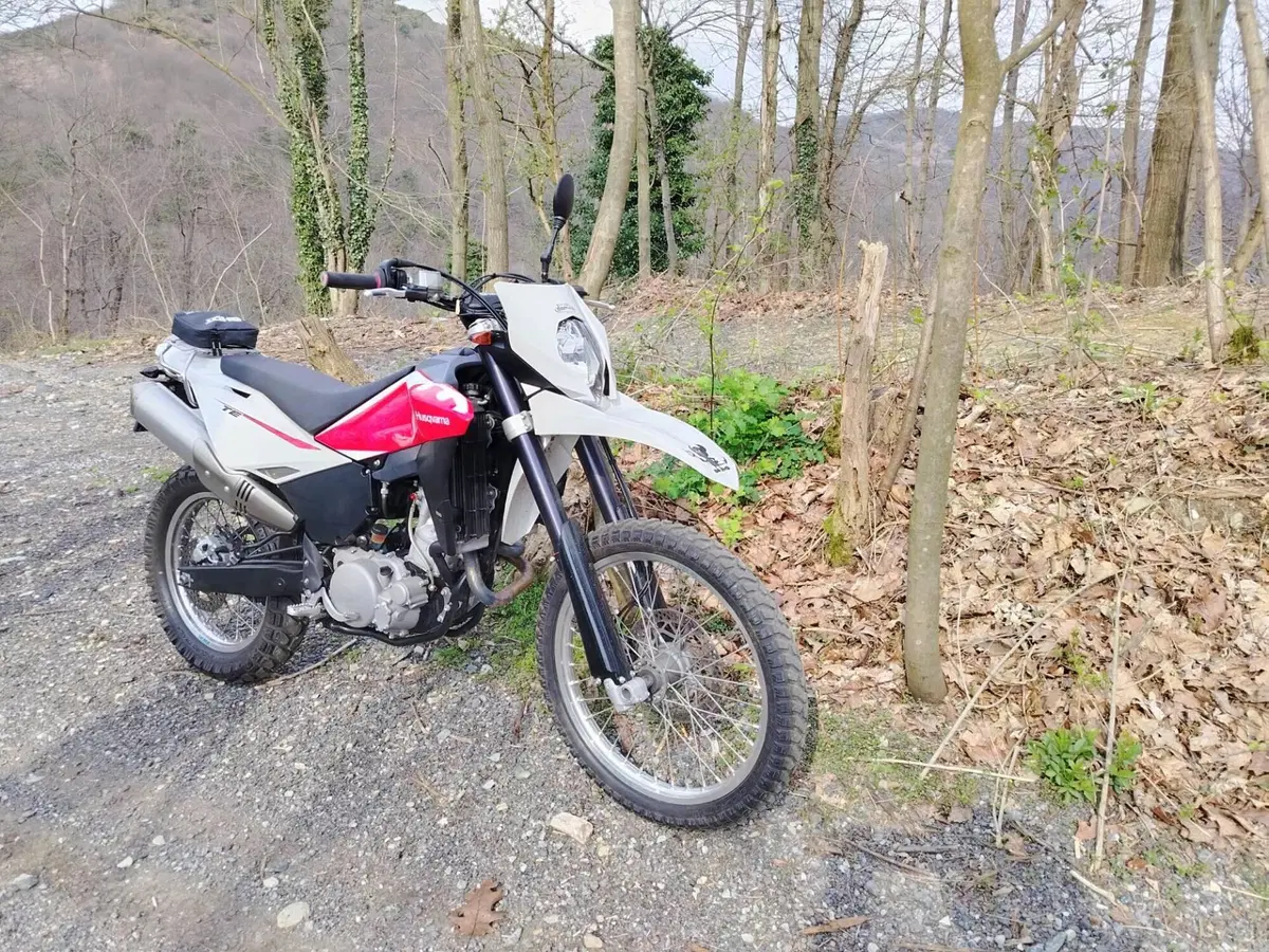 Husqvarna TE 630 (2010 - 13) (4)