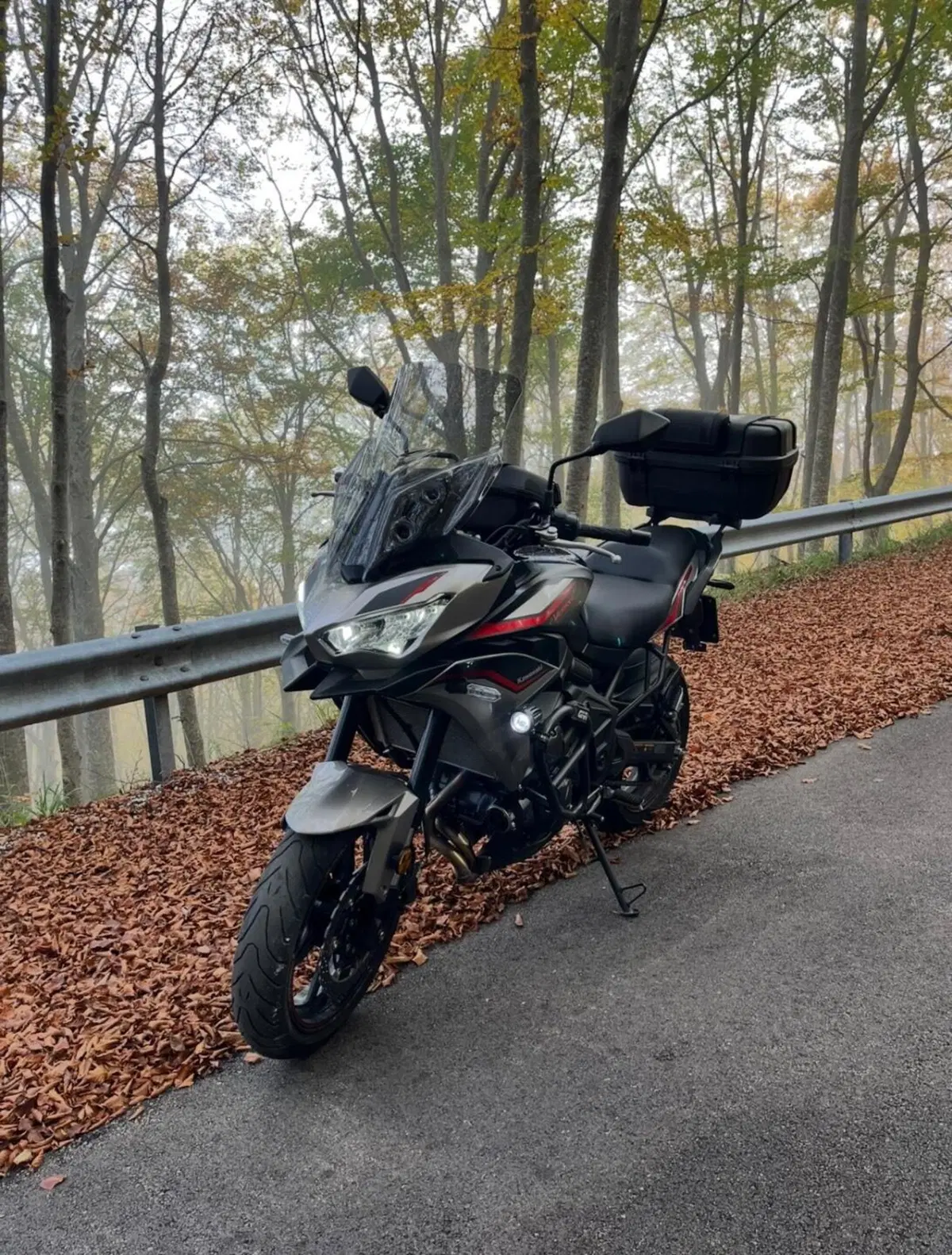 Kawasaki Versys 650 (2021 - 24)