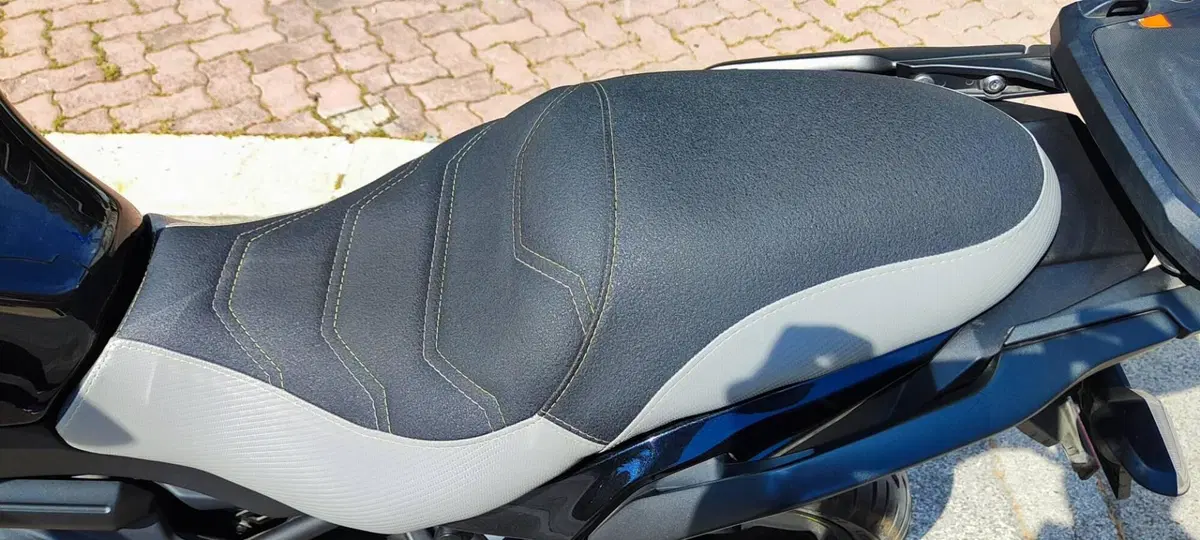 Kawasaki Versys 650 Grand Tourer (2017 - 20) (4)