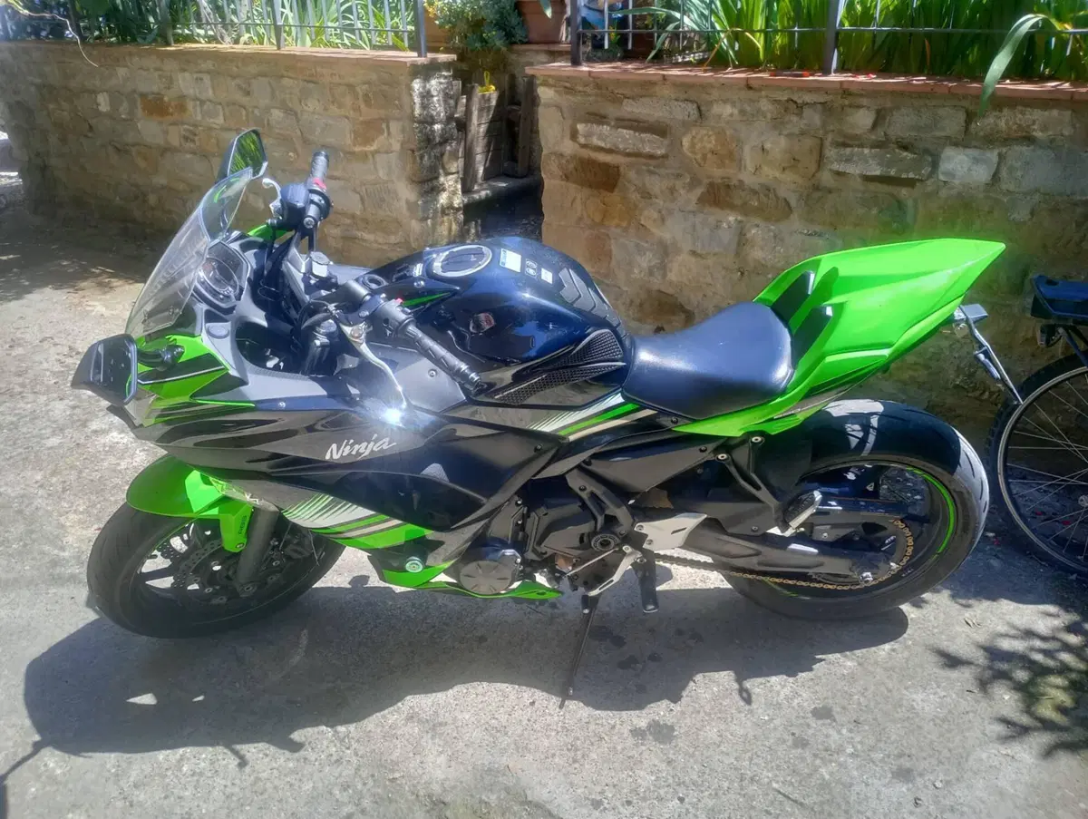 Kawasaki Ninja 650 (2017 - 19) (3)