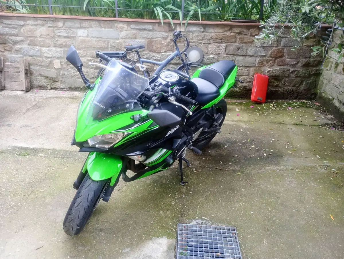 Kawasaki Ninja 650 (2017 - 19) (4)