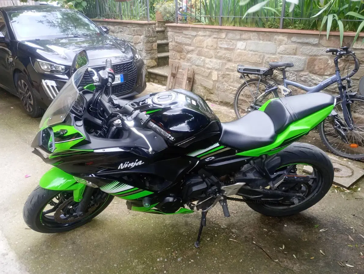 Kawasaki Ninja 650 (2017 - 19) (5)