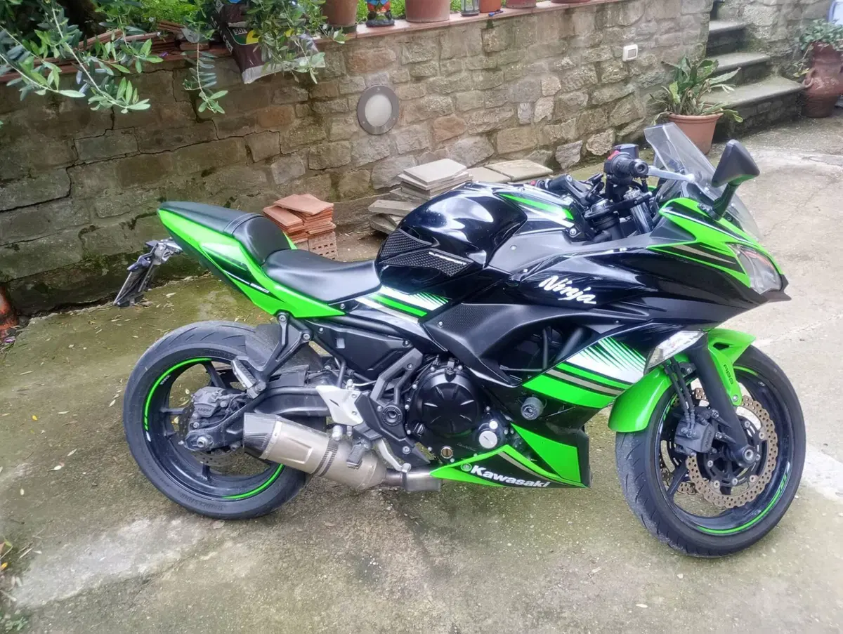 Kawasaki Ninja 650 (2017 - 19) (7)