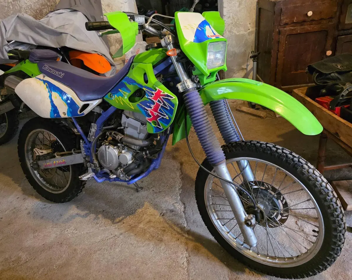 Kawasaki KLX 250 (1993 - 98) (2)
