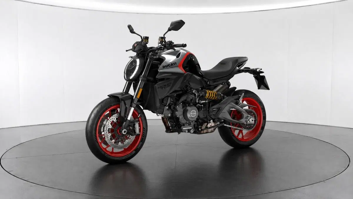 Ducati Monster 1000 S (2003 - 05) (9)