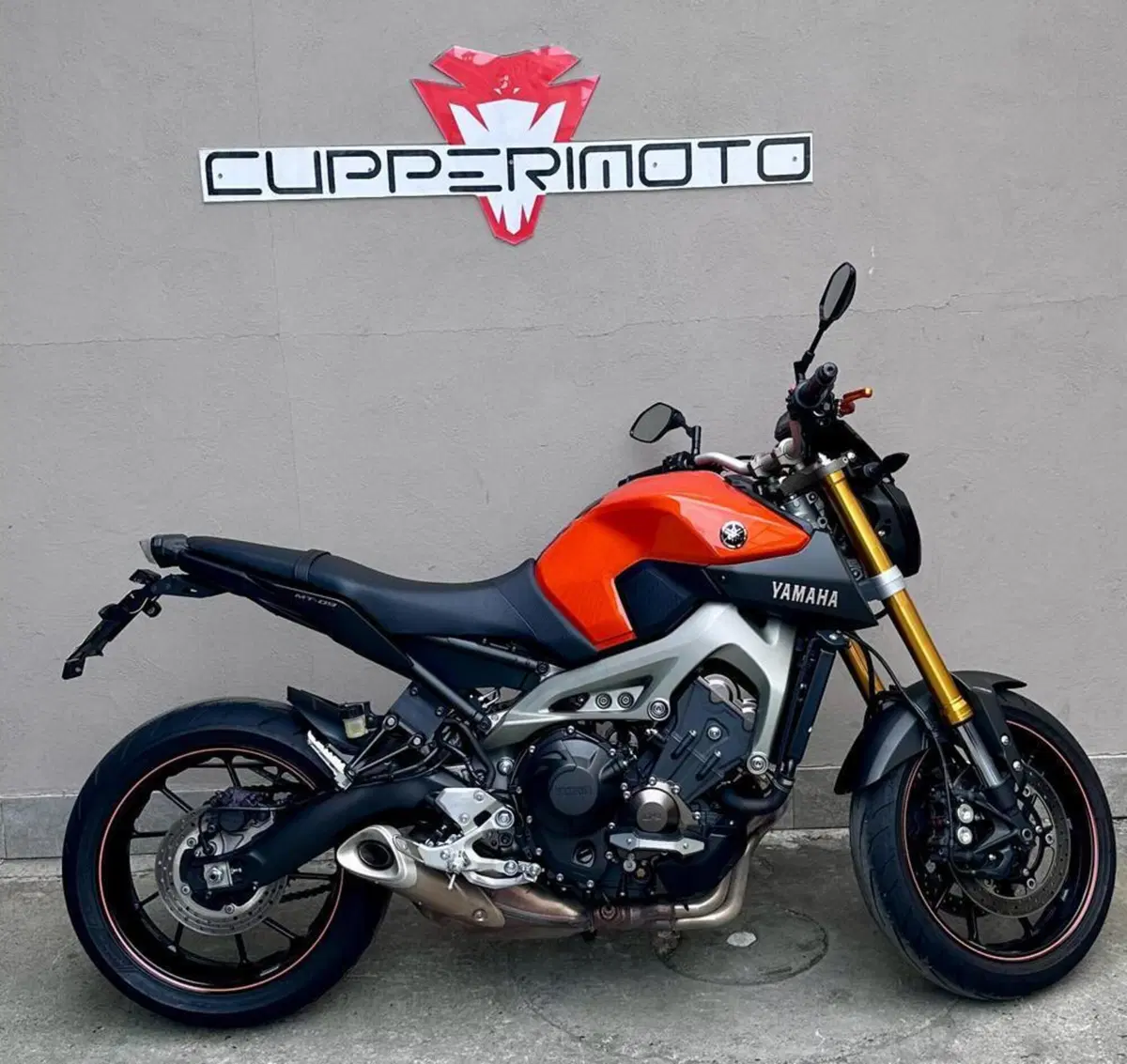 Yamaha MT-09 (2013 - 15)