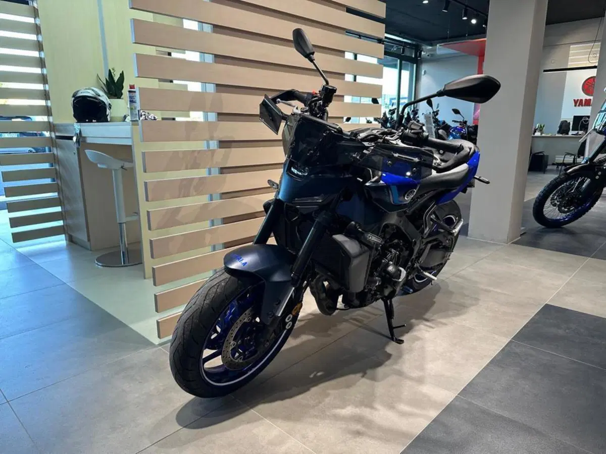 Yamaha MT-09 (2024 - 26) (6)