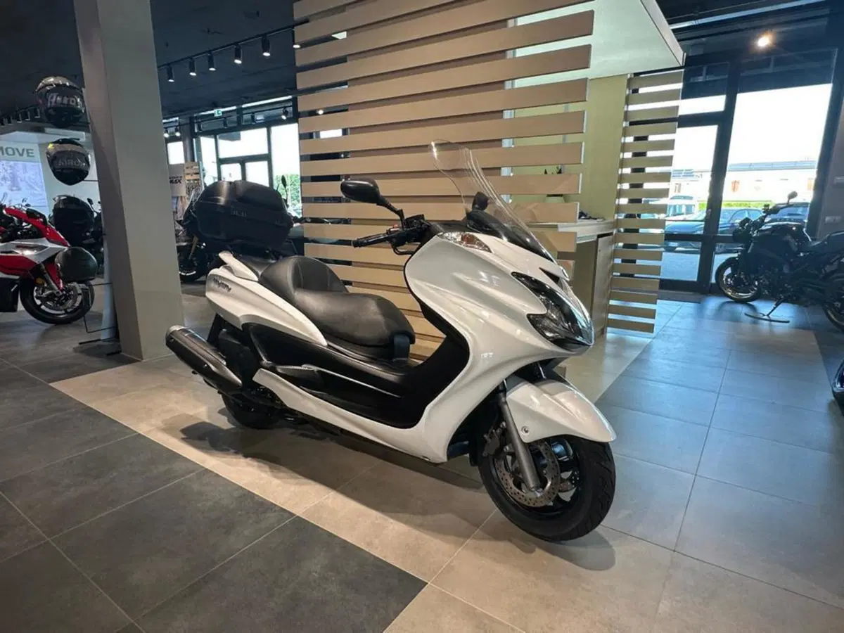 Yamaha Majesty 400 (2009 - 14) (7)