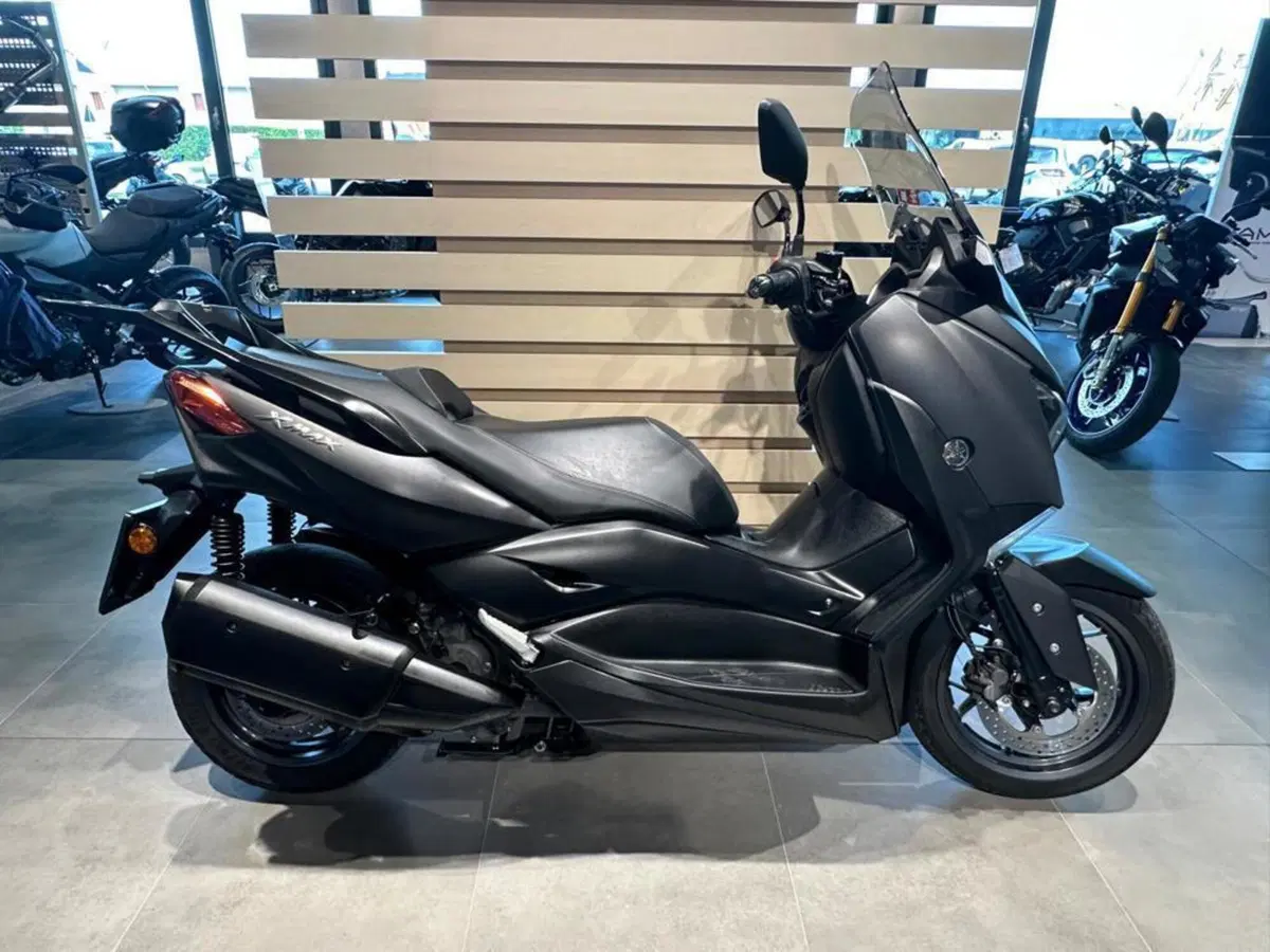 Yamaha X-Max 300 ABS (2017 - 20) (3)