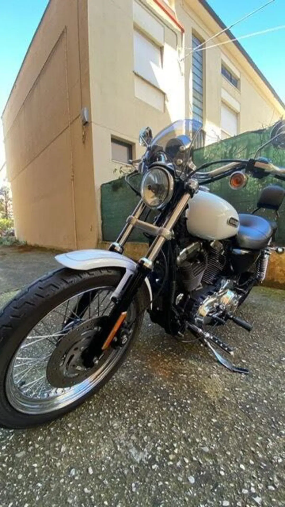 Harley-Davidson 1200 Low (2006 - 07) - XL 1200L (4)