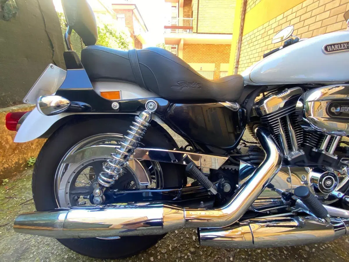 Harley-Davidson 1200 Low (2006 - 07) - XL 1200L (5)