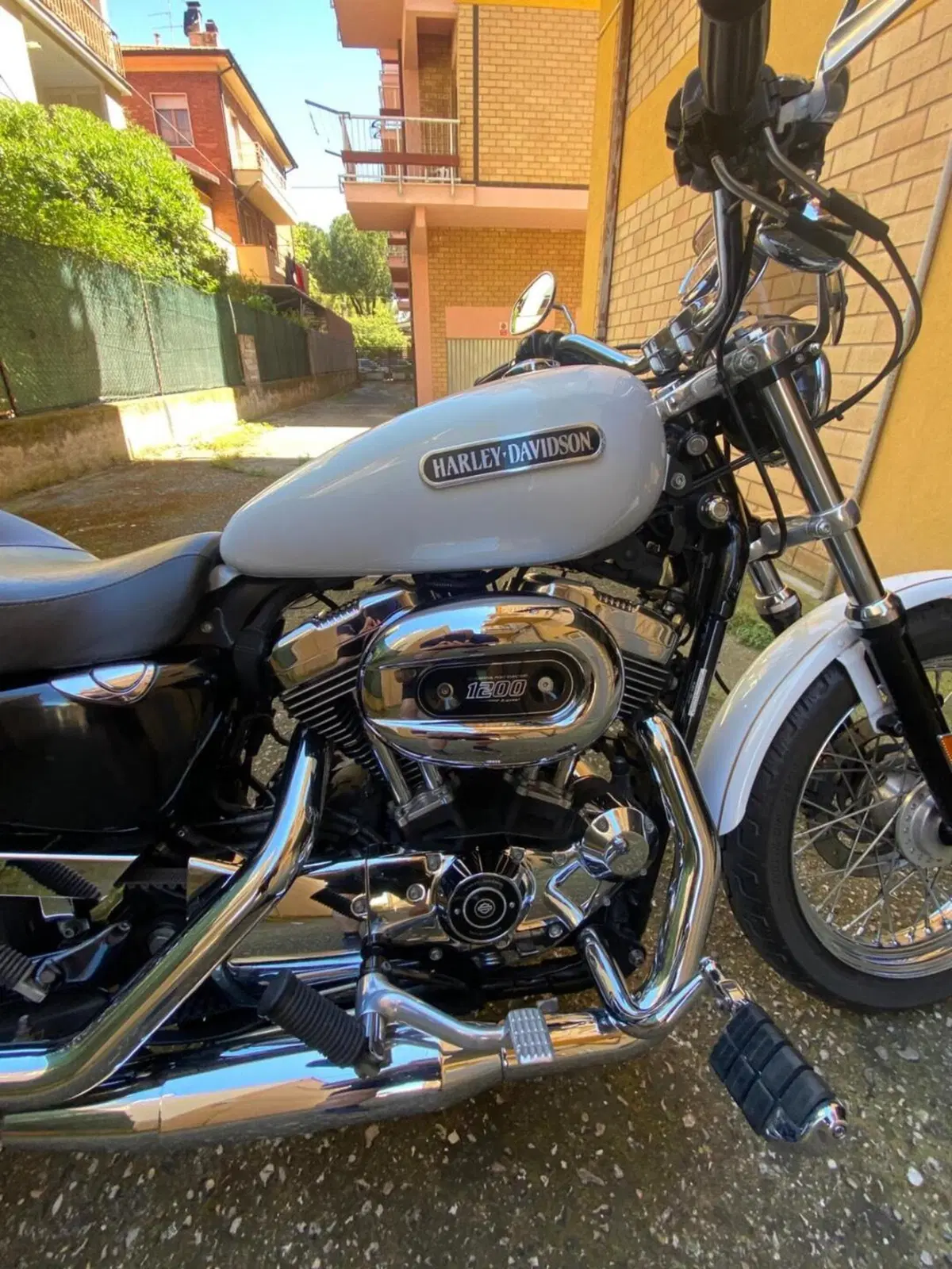 Harley-Davidson 1200 Low (2006 - 07) - XL 1200L (6)