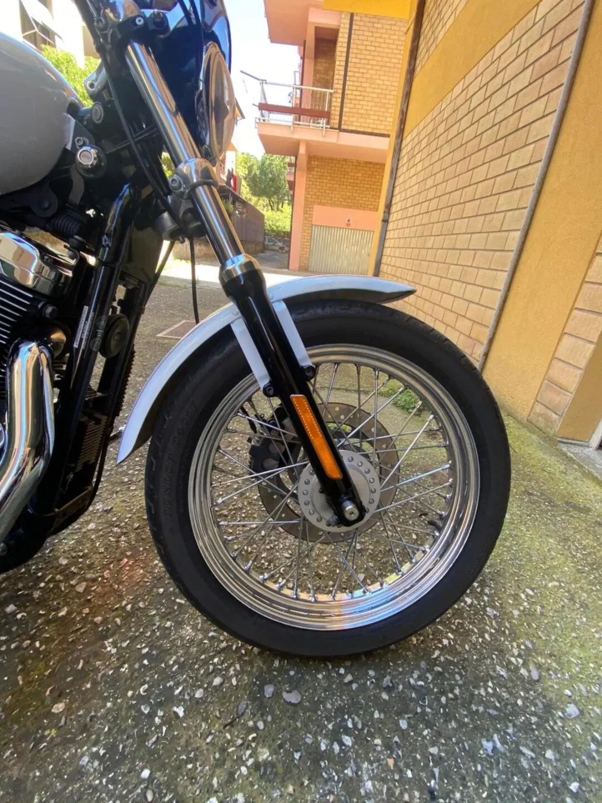 Harley-Davidson 1200 Low (2006 - 07) - XL 1200L (10)