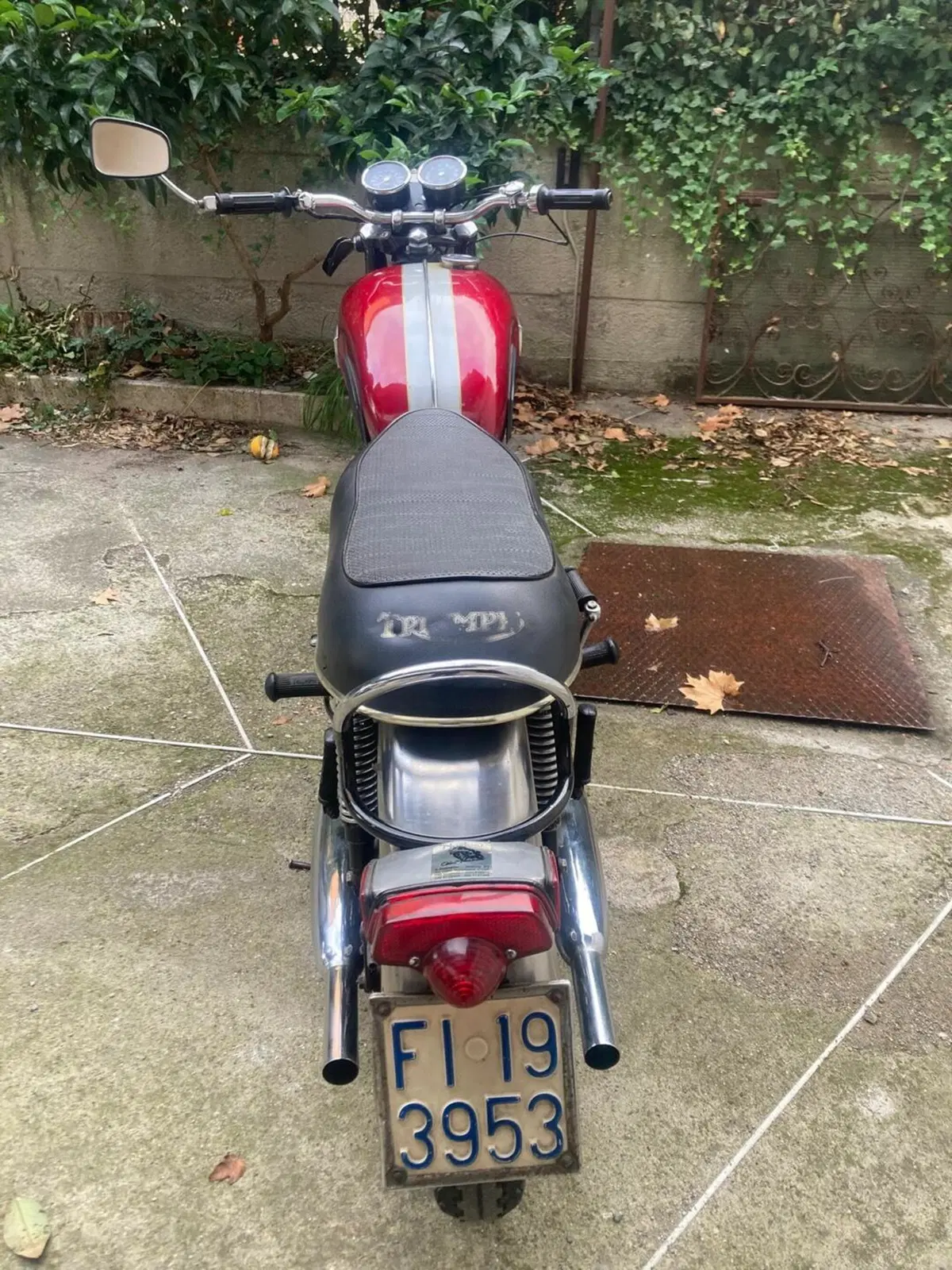 Triumph T120 Bonneville (5)