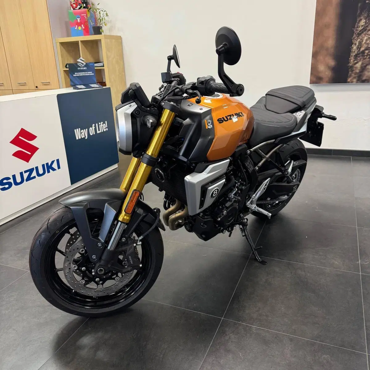 Suzuki GSX-8T (2025 - 26) (3)