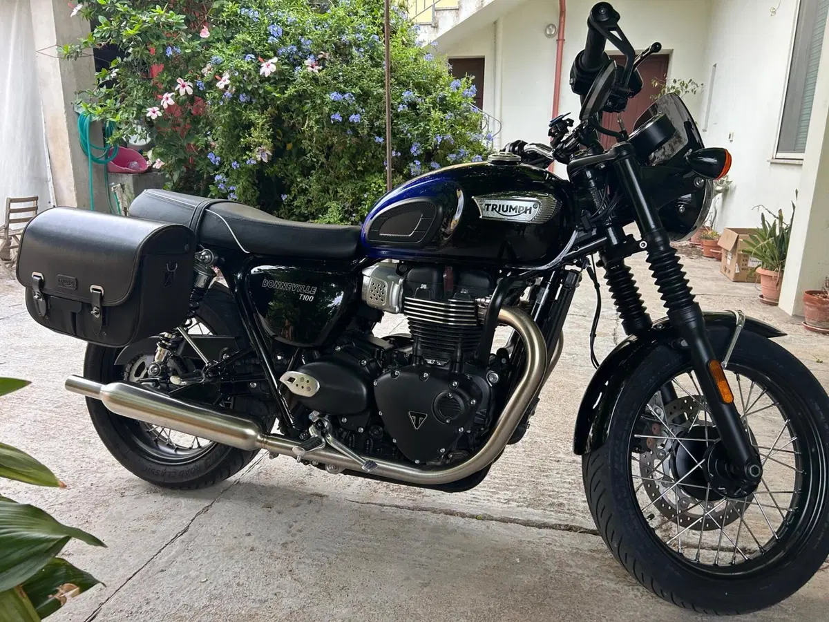 Triumph Bonneville T100 Stealth Edition (2024) (6)