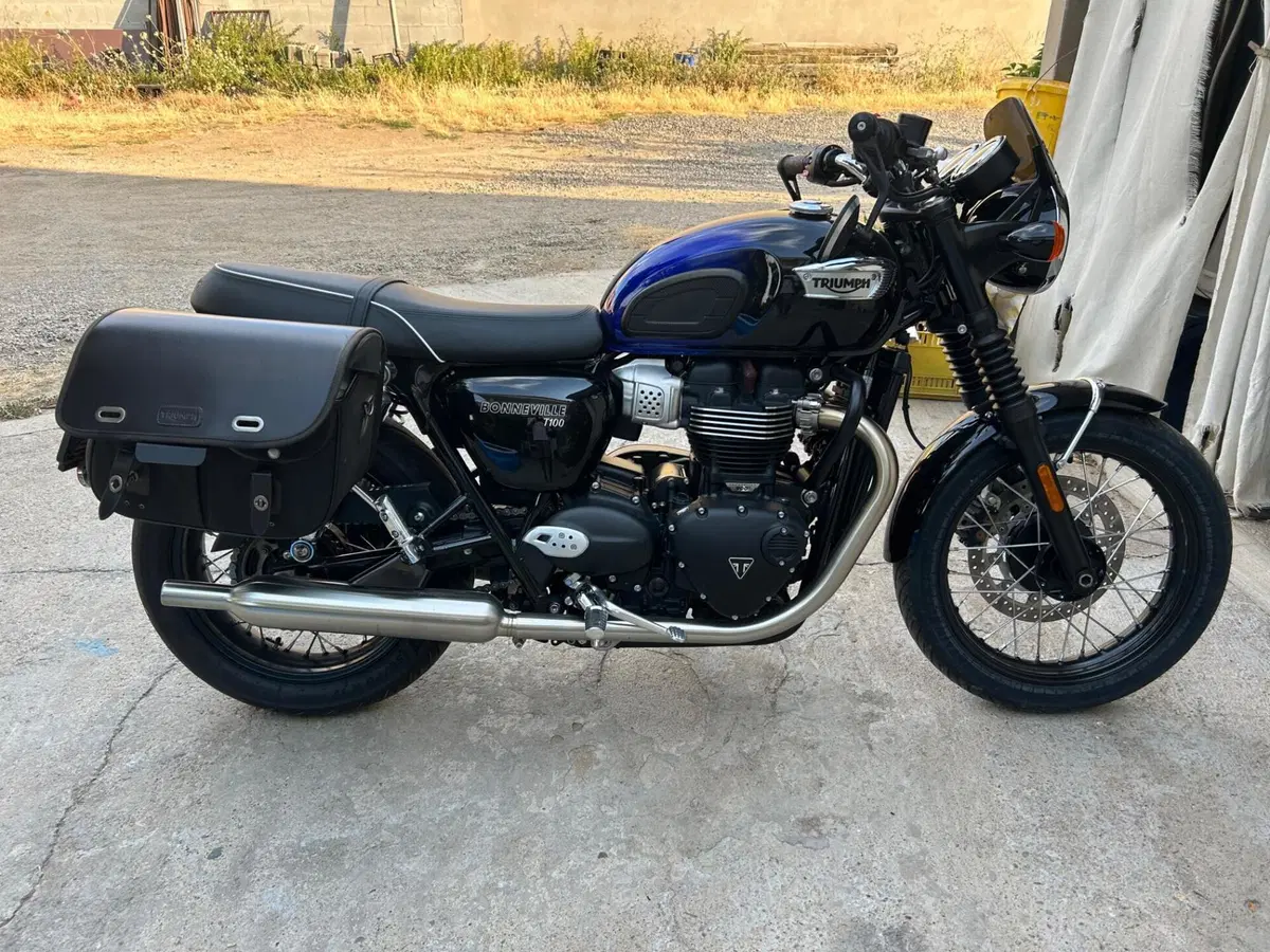 Triumph Bonneville T100 Stealth Edition (2024) (9)