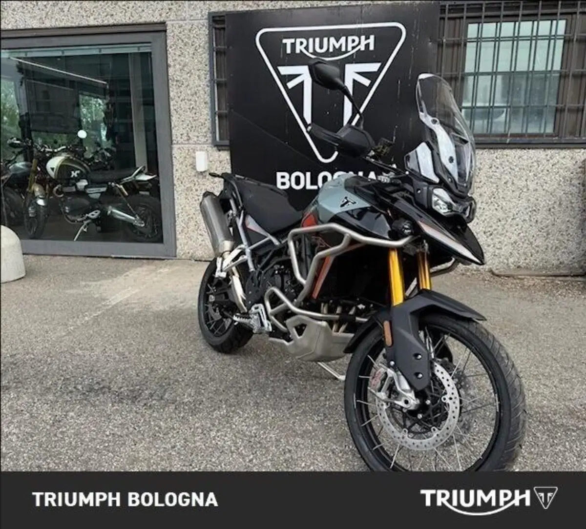 Triumph Tiger 900 Desert Special Edition (2026) (8)