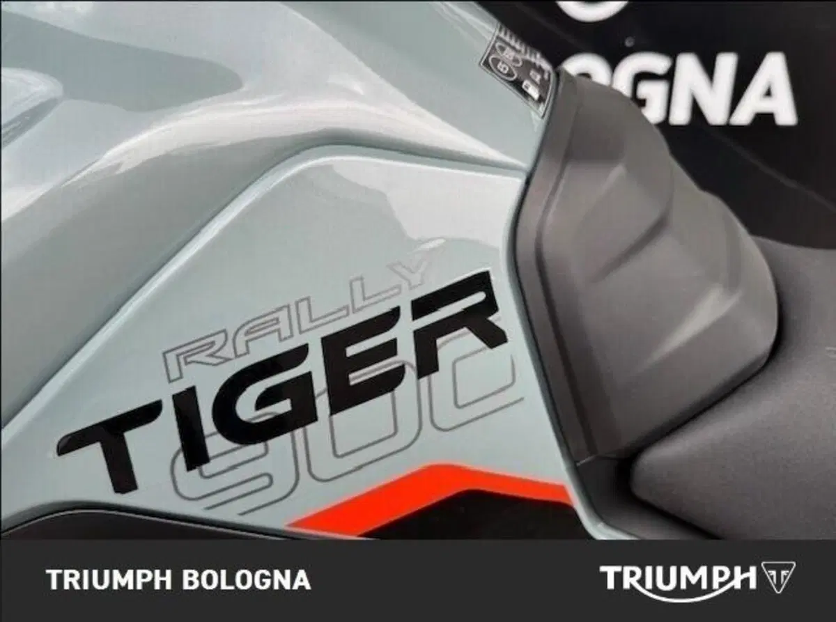 Triumph Tiger 900 Desert Special Edition (2026) (11)