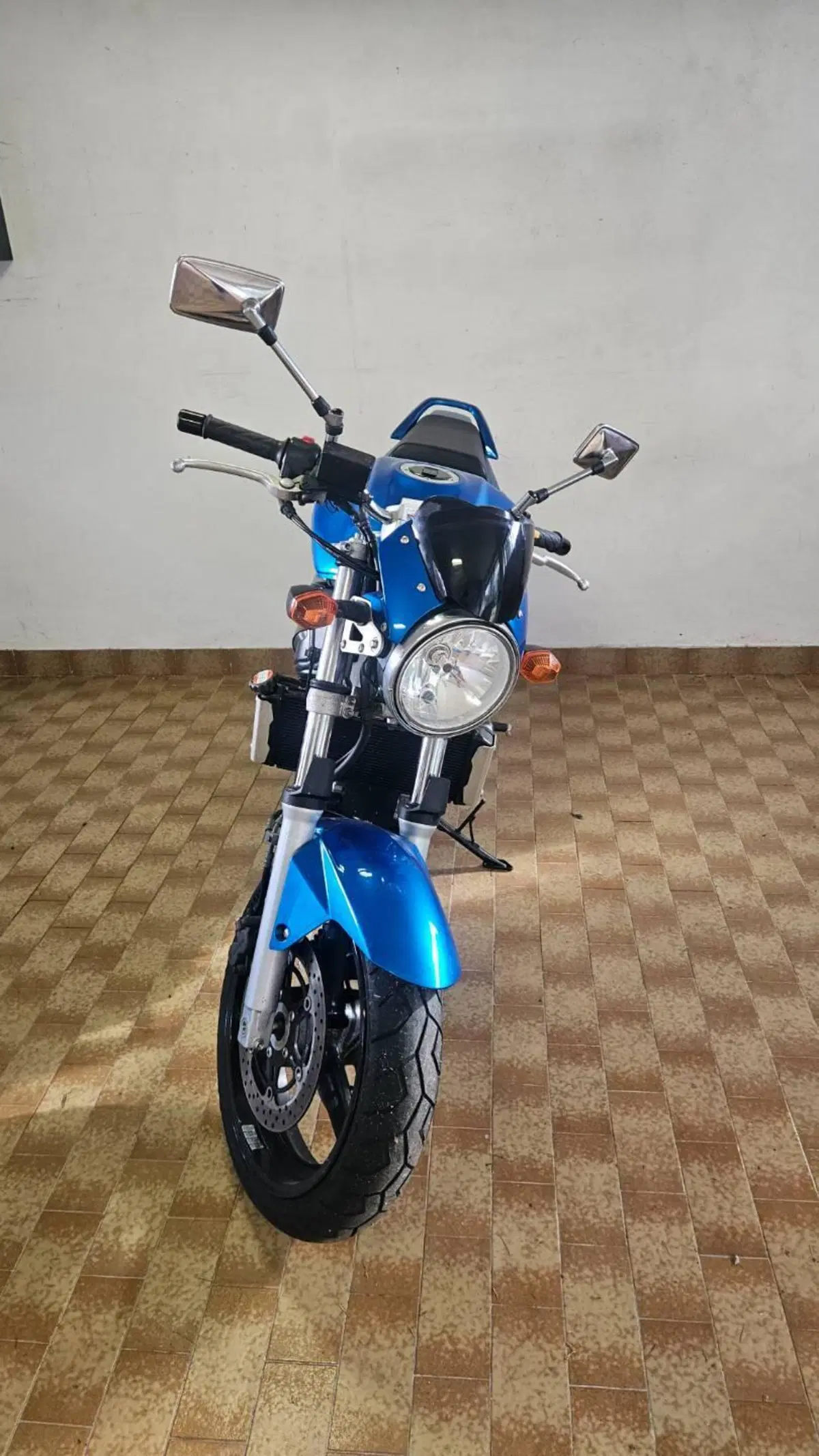 Suzuki SV 650 (2006 - 11) (3)
