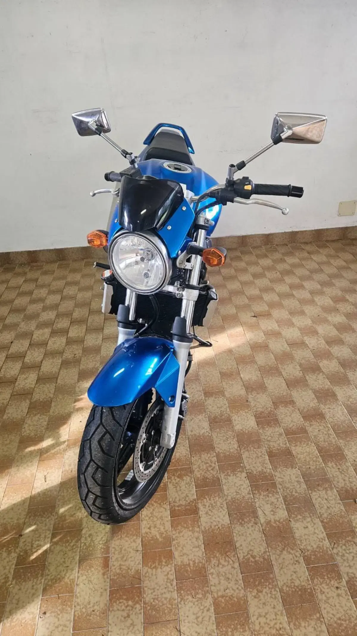 Suzuki SV 650 (2006 - 11) (6)