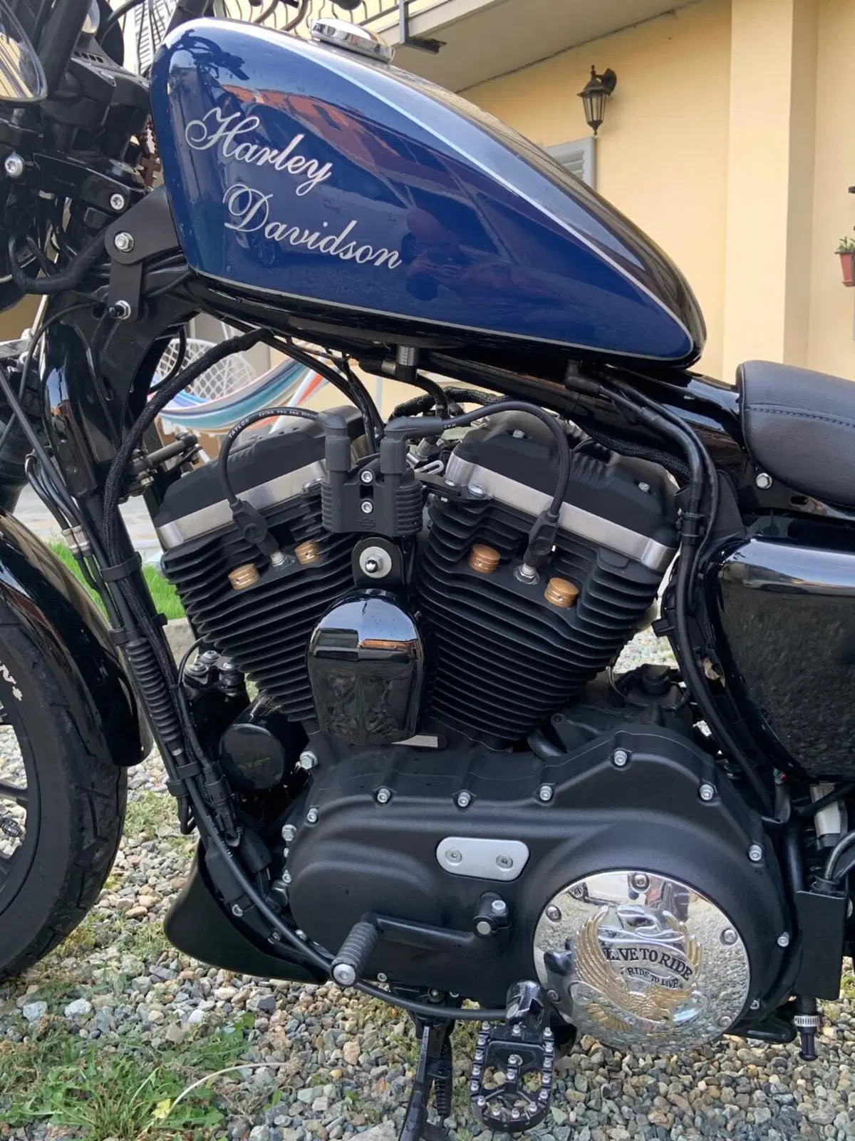 Harley-Davidson 883 Iron (2012 - 14) - XL 883N (9)