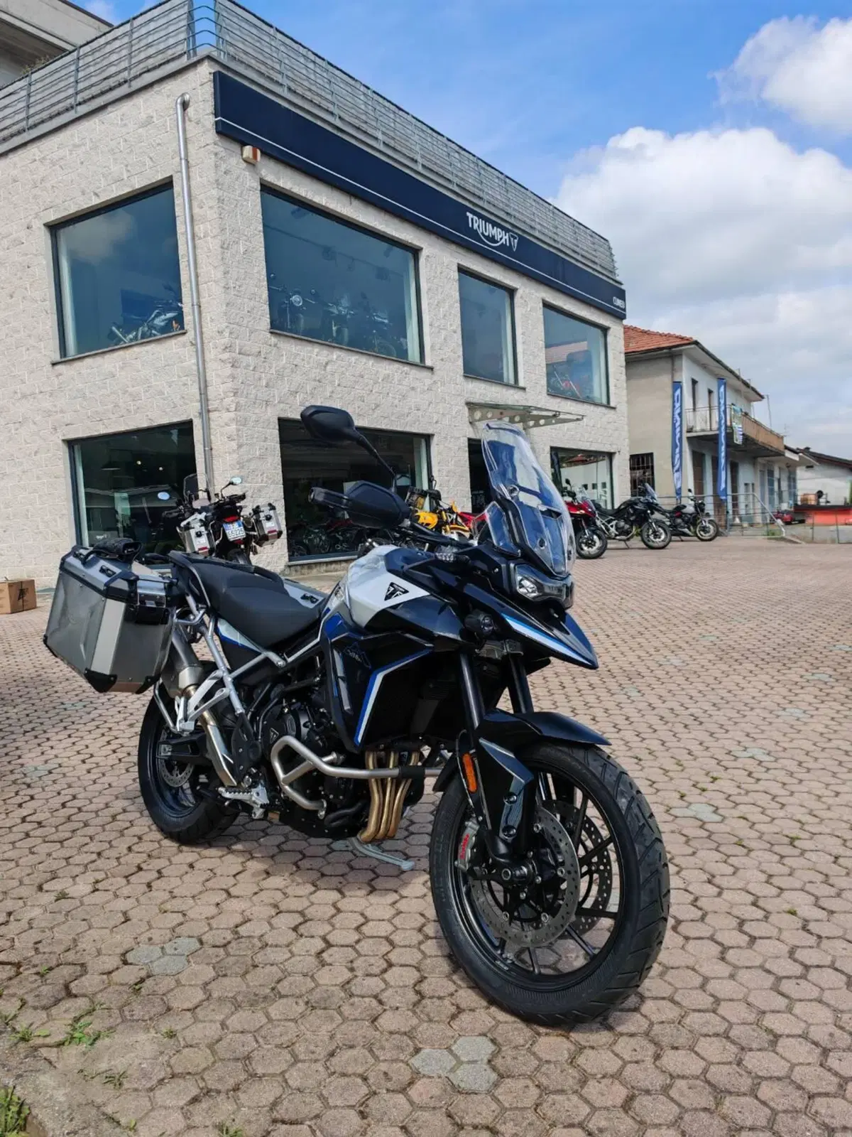 Triumph Tiger 900 Alpine Special Edition (2026)