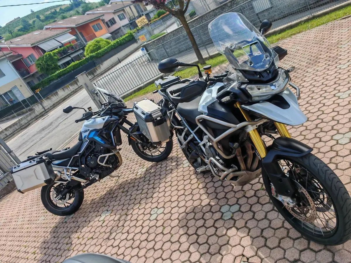 Triumph Tiger 900 Alpine Special Edition (2026) (2)