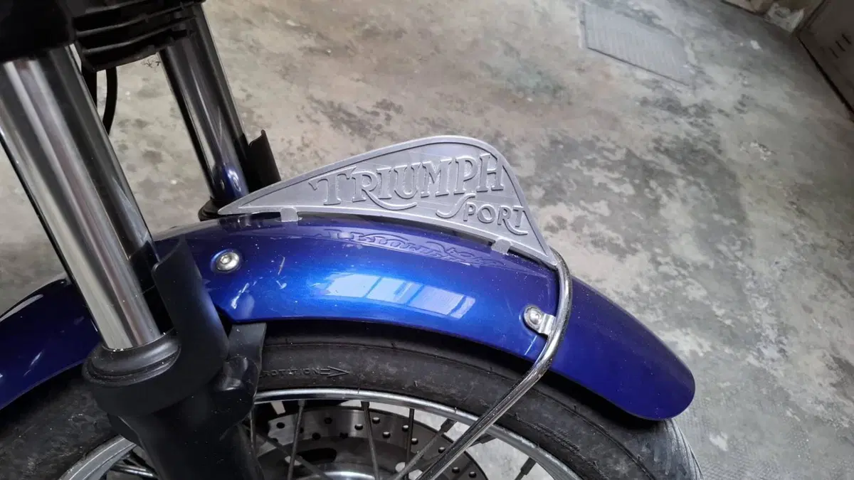 Triumph Bonneville T100 (2008 - 16) (3)
