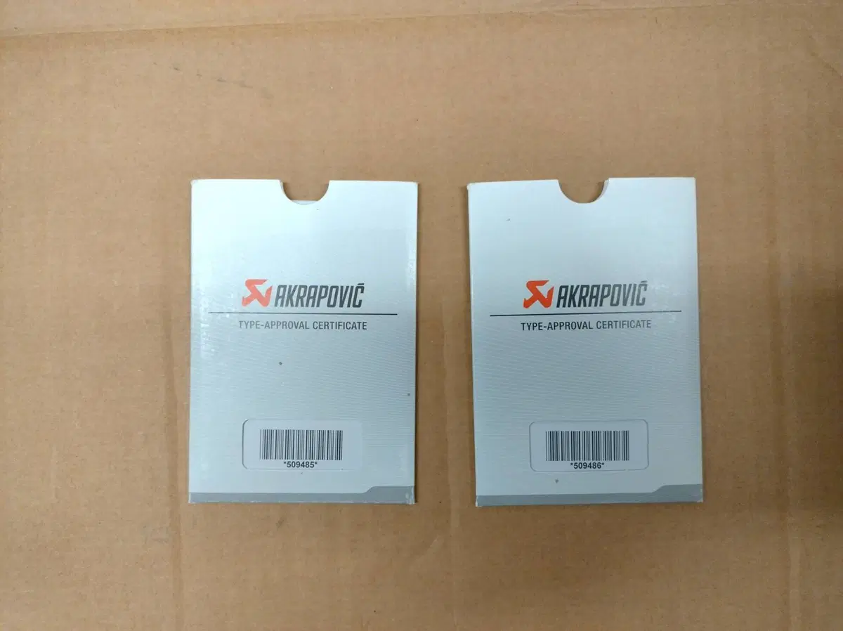 Scarico Akrapovic Africa Twin CRF 1100 (6)