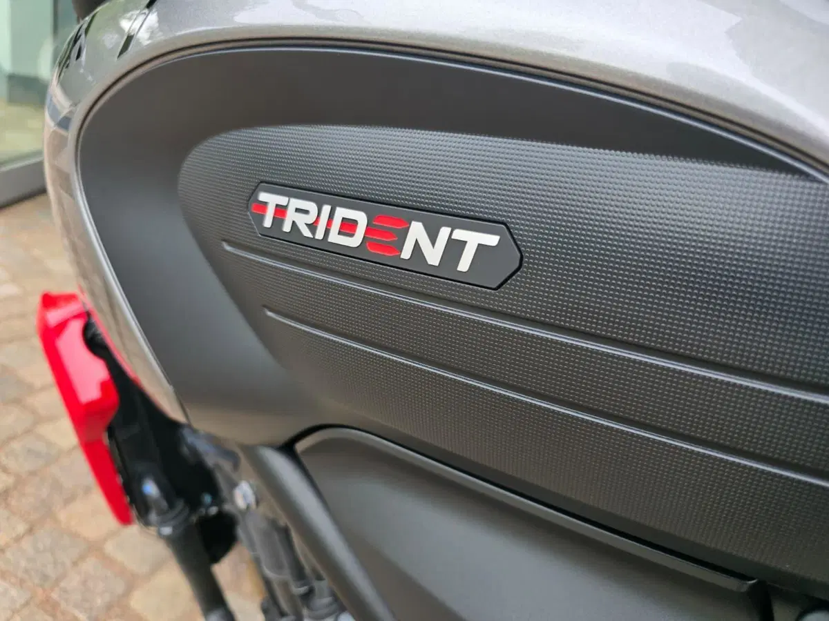 Triumph Trident 660 (2021 - 24) (5)