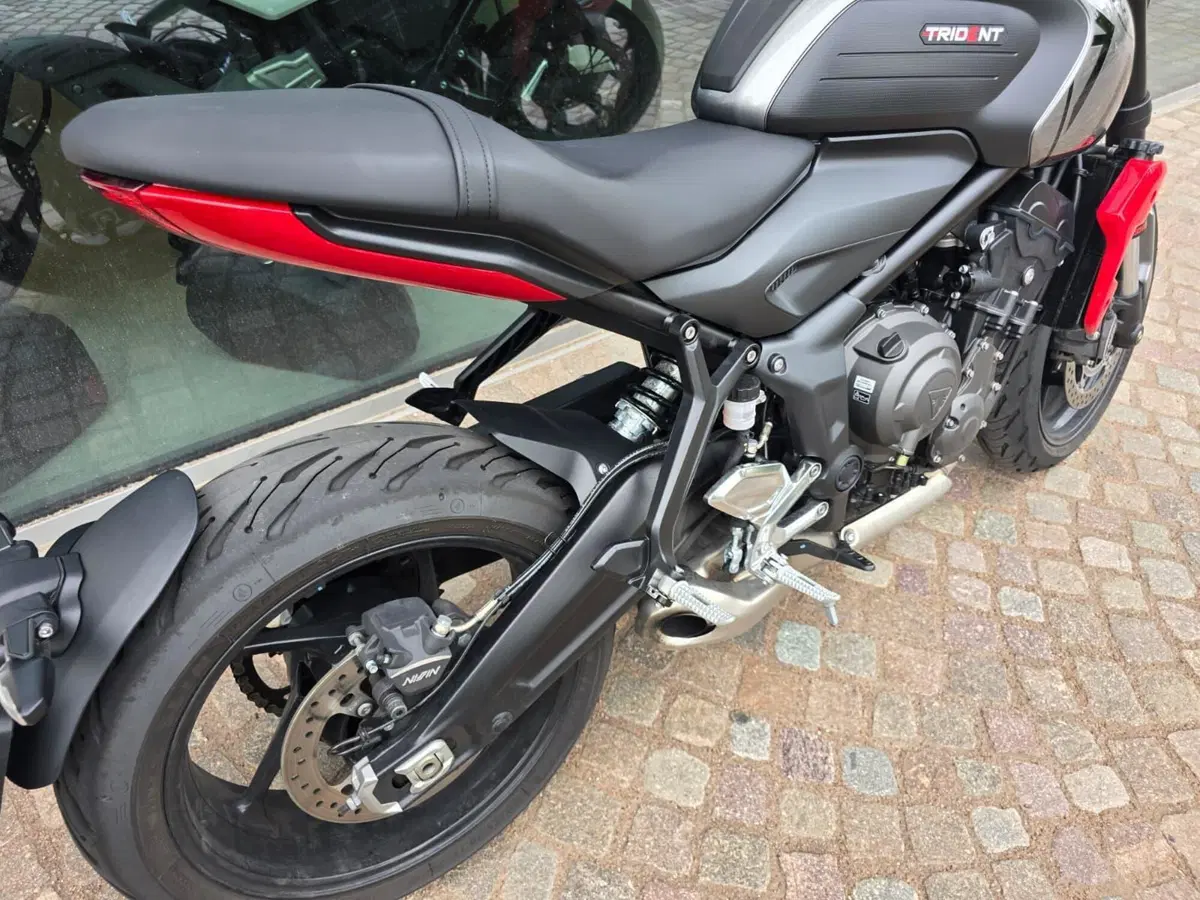 Triumph Trident 660 (2021 - 24) (12)