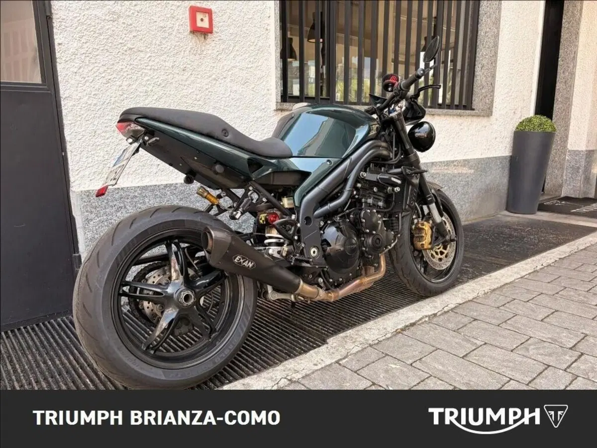 Triumph Speed Triple 1050 (2005 - 11) (3)