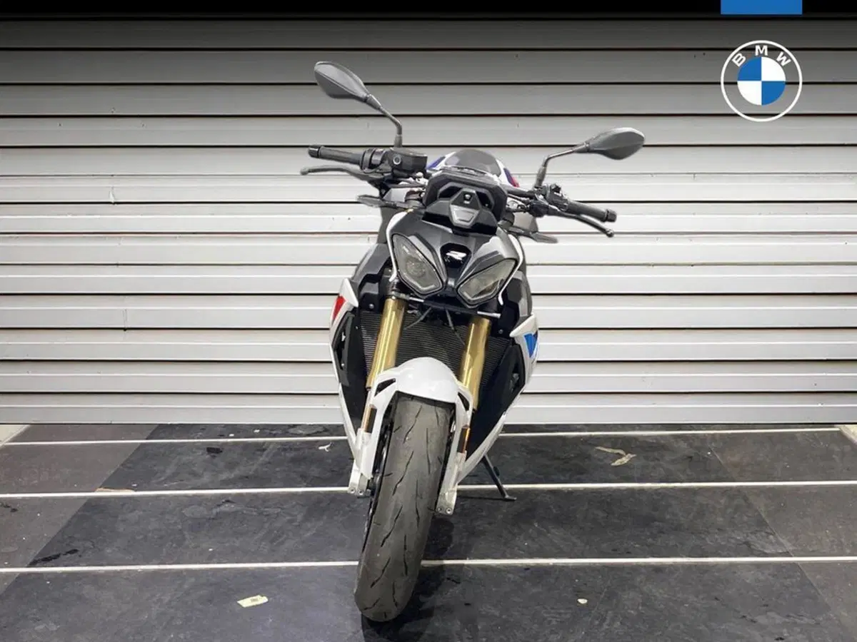 Bmw S 1000 R (2025 - 27) (2)