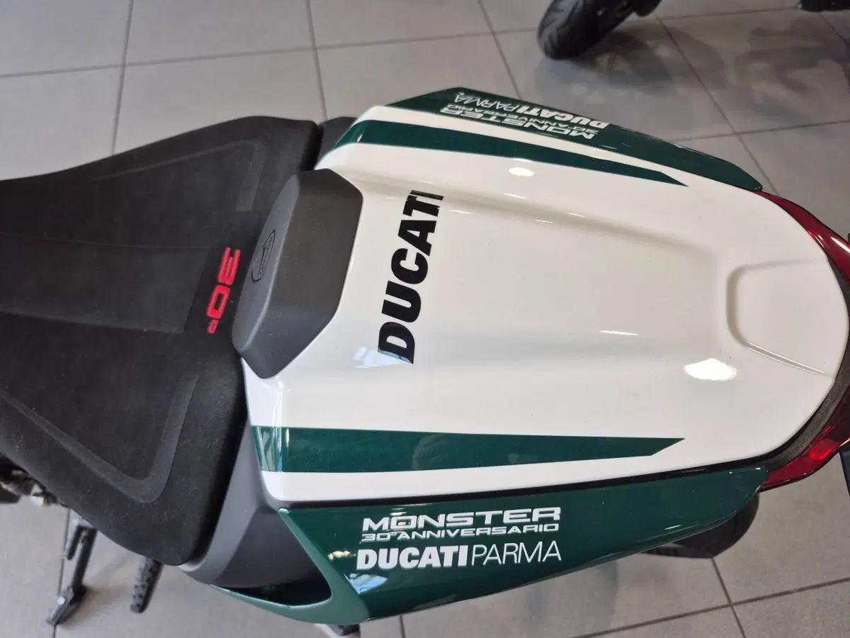 Ducati Monster 937 30° Anniversario (2023 - 24) (6)