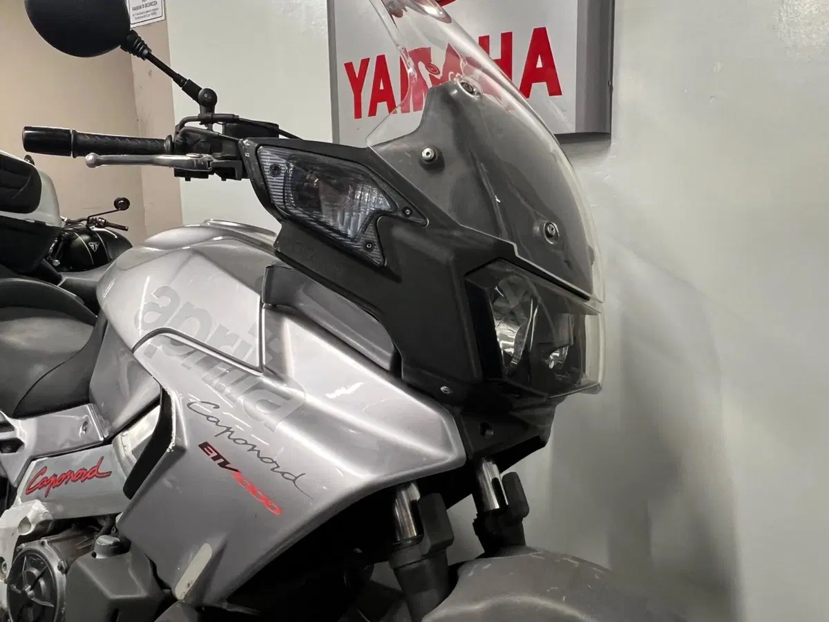 Aprilia Caponord ETV 1000 (2001 - 04) (2)