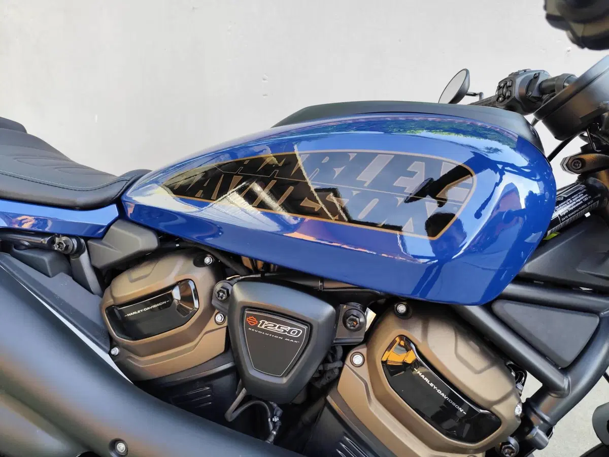 Harley-Davidson Sportster S (2022 - 24) (7)