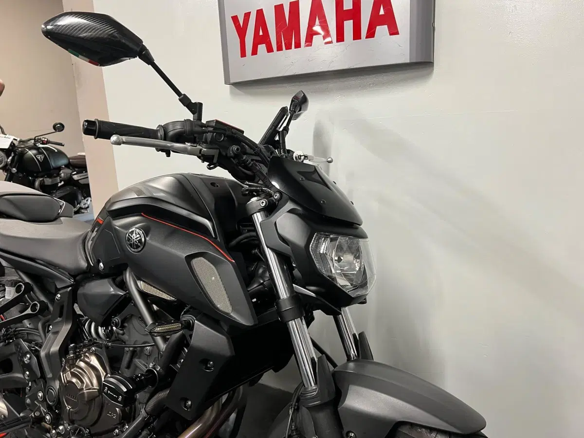 Yamaha MT-07 (2017 - 18) (2)