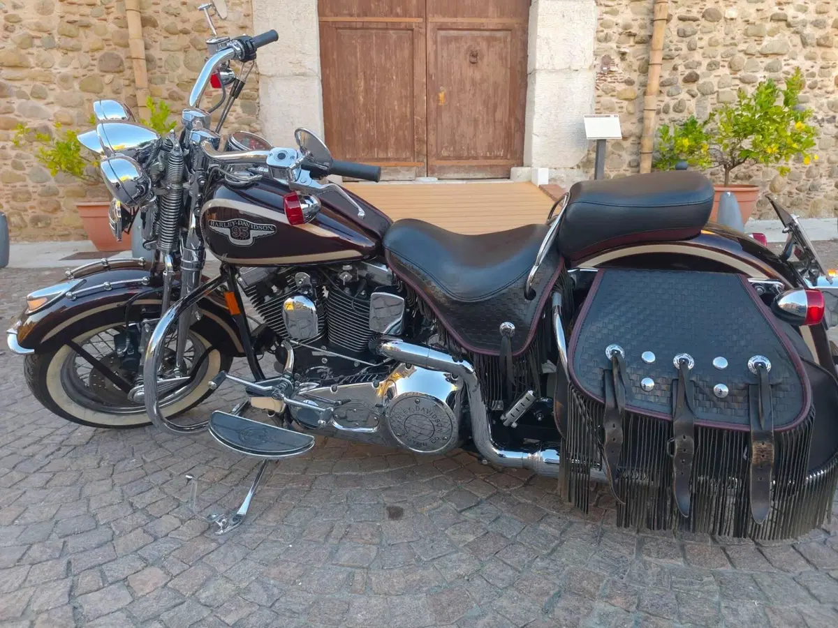 Harley-Davidson •	Harley-Davidson FLSTS Heritage Springer 95th