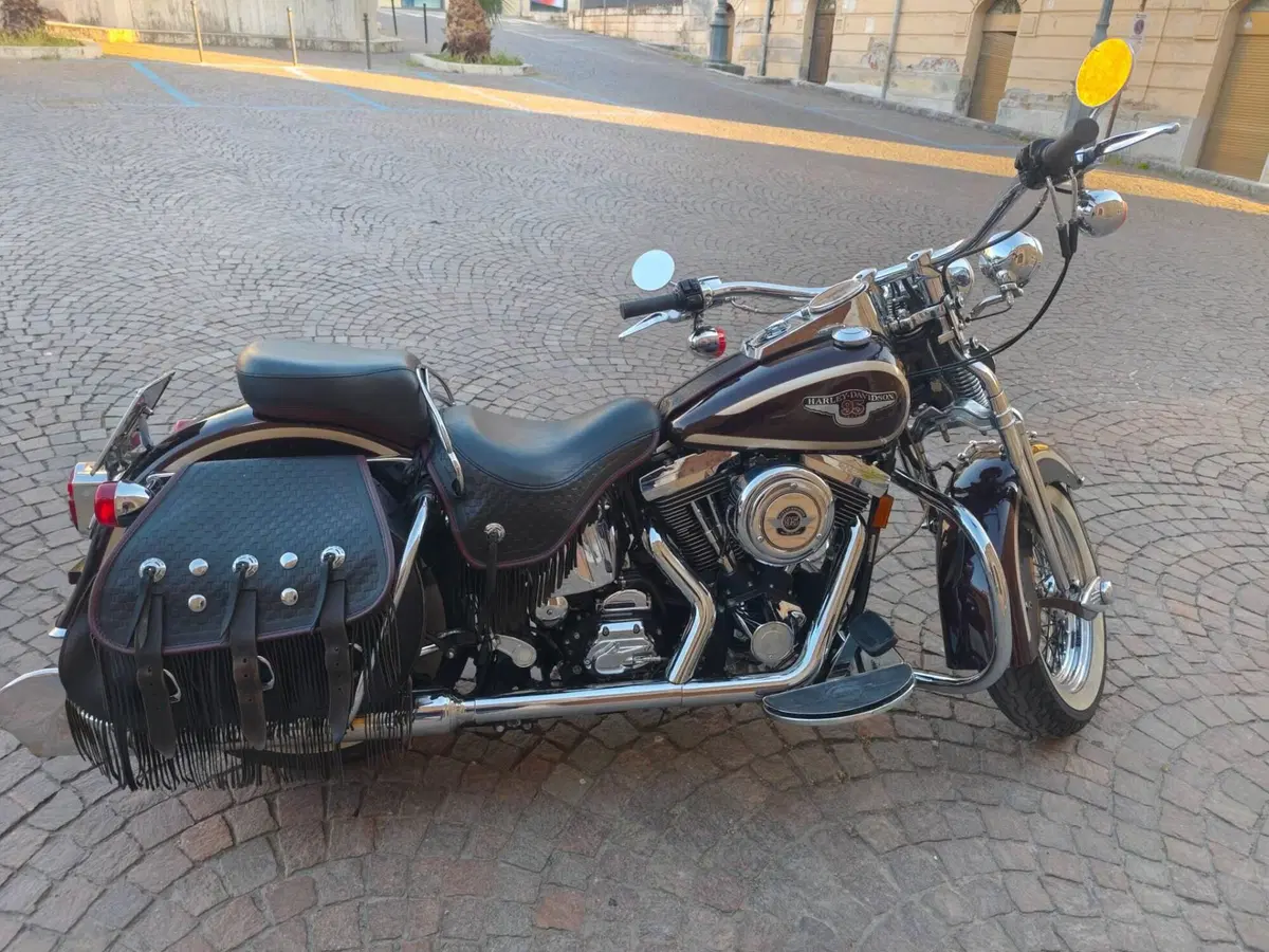 Harley-Davidson •	Harley-Davidson FLSTS Heritage Springer 95th (2)