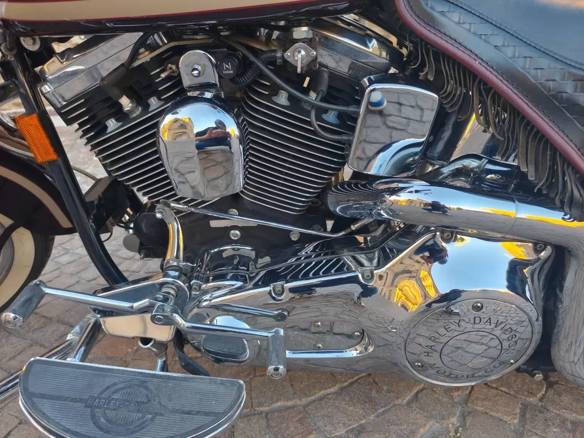 Harley-Davidson •	Harley-Davidson FLSTS Heritage Springer 95th (3)