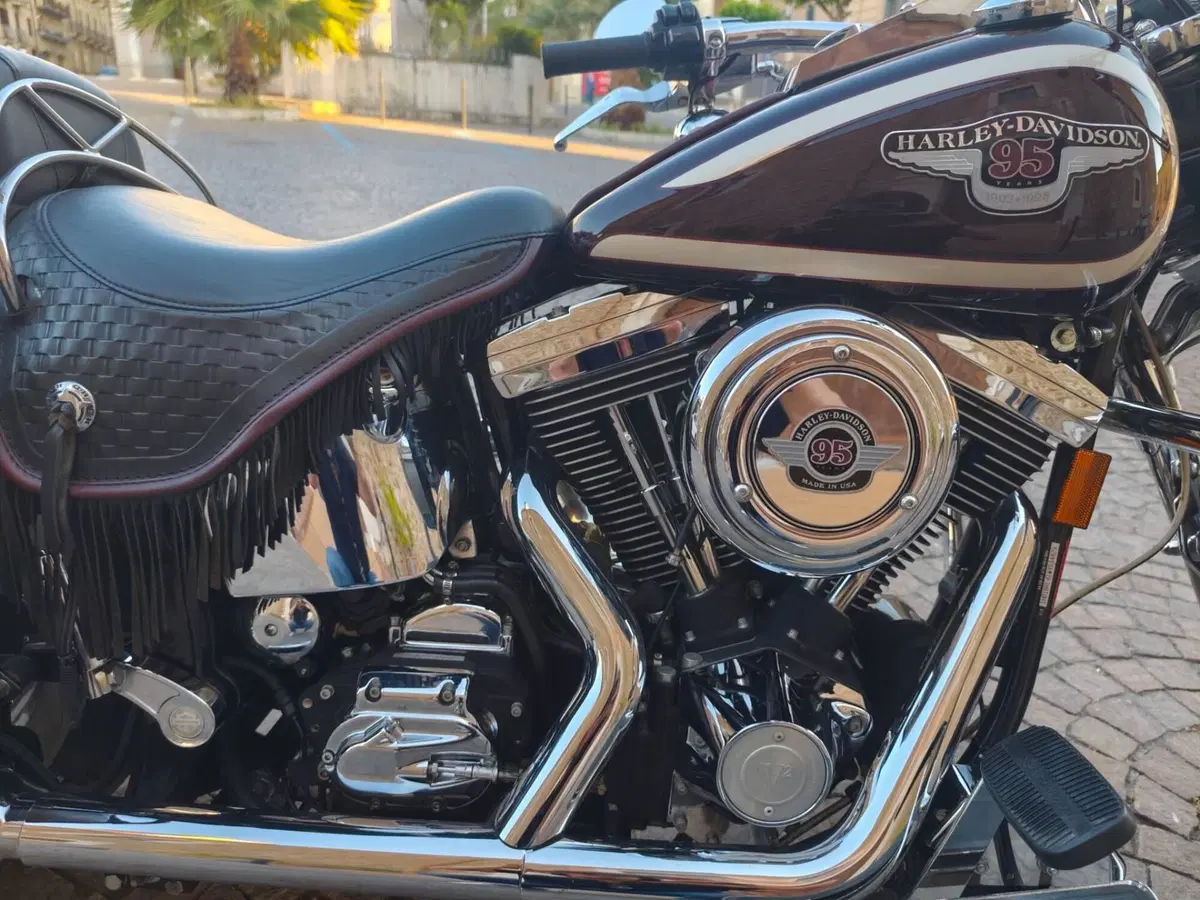 Harley-Davidson •	Harley-Davidson FLSTS Heritage Springer 95th (5)