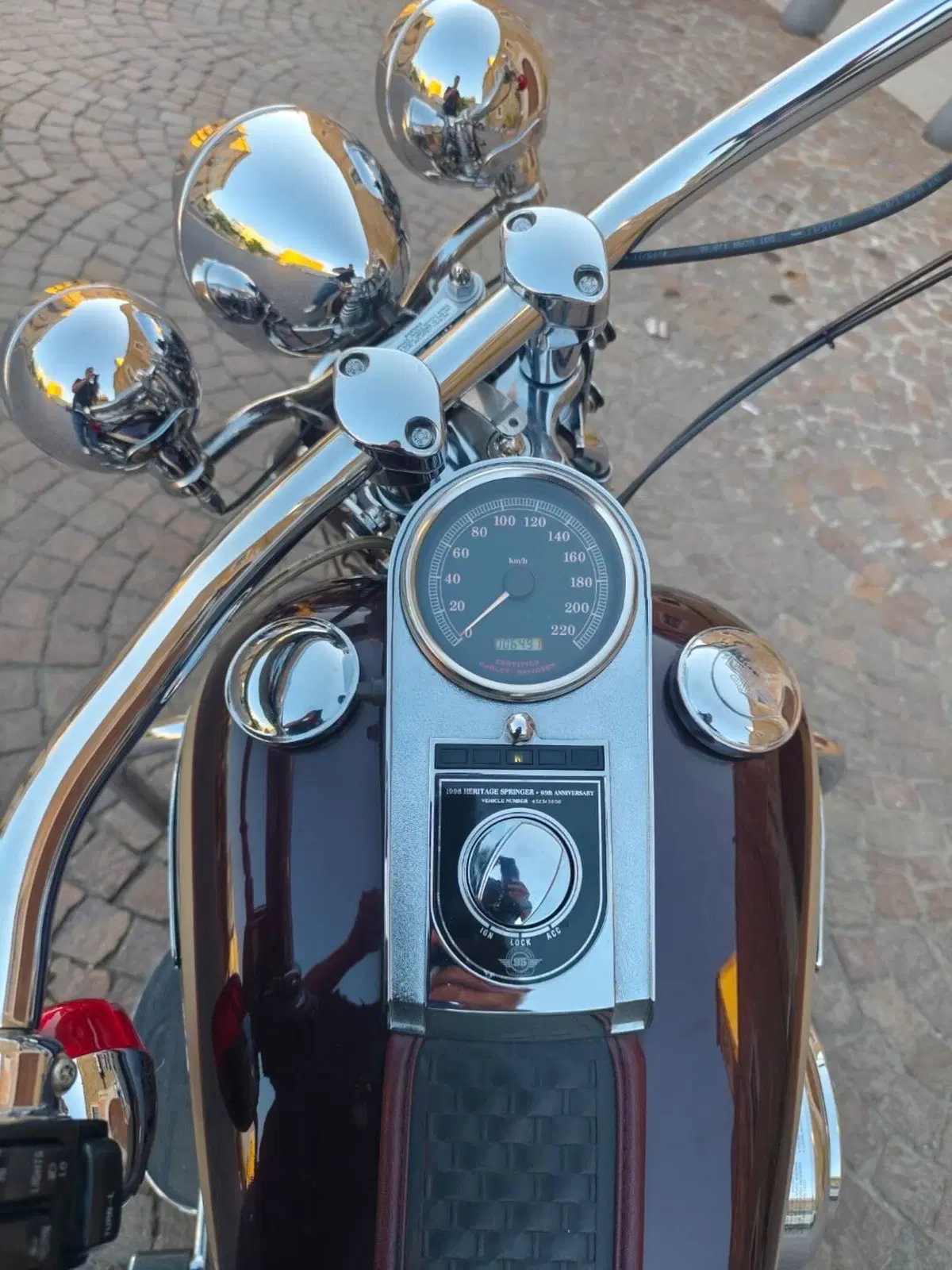 Harley-Davidson •	Harley-Davidson FLSTS Heritage Springer 95th (6)