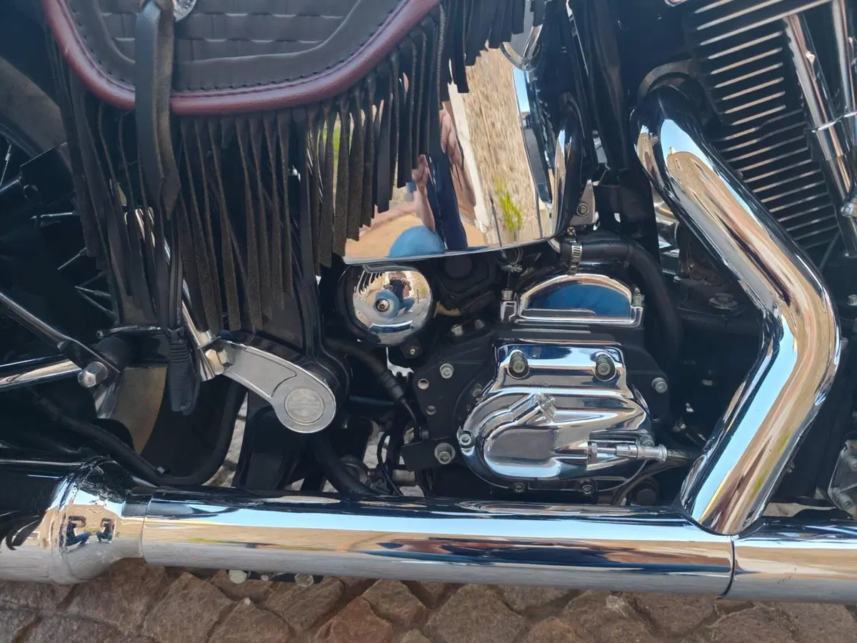 Harley-Davidson •	Harley-Davidson FLSTS Heritage Springer 95th (8)