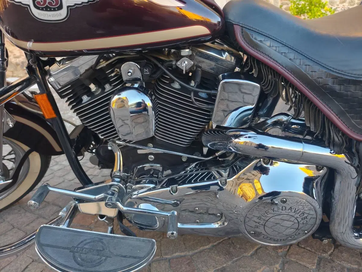 Harley-Davidson •	Harley-Davidson FLSTS Heritage Springer 95th (9)